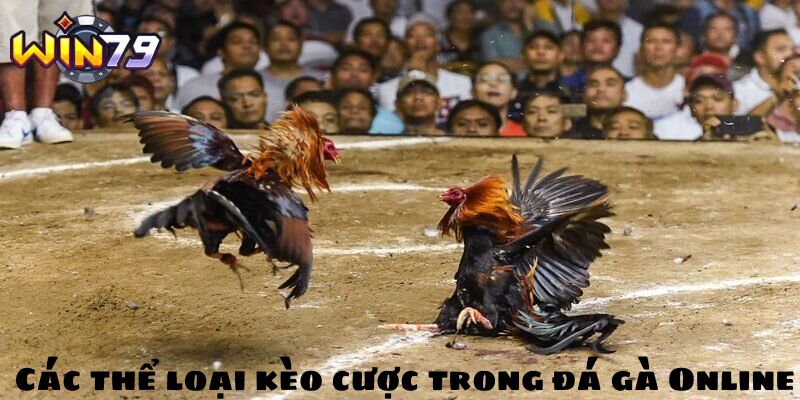 Các thể loại kèo cược trong đá gà Online