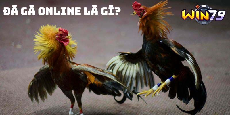 Đá gà Online là gì?