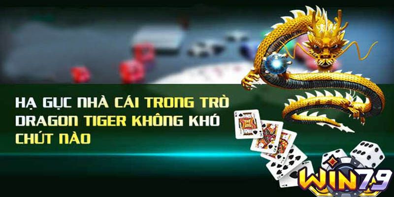 Kinh nghiệm để anh em chơi long hổ bất bại